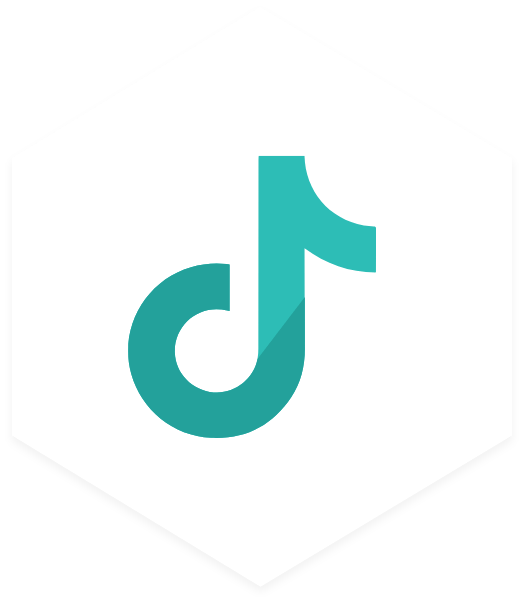 Performance Marketing - Tiktok Ads