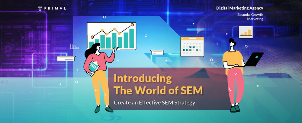 Introducing The World of SEM