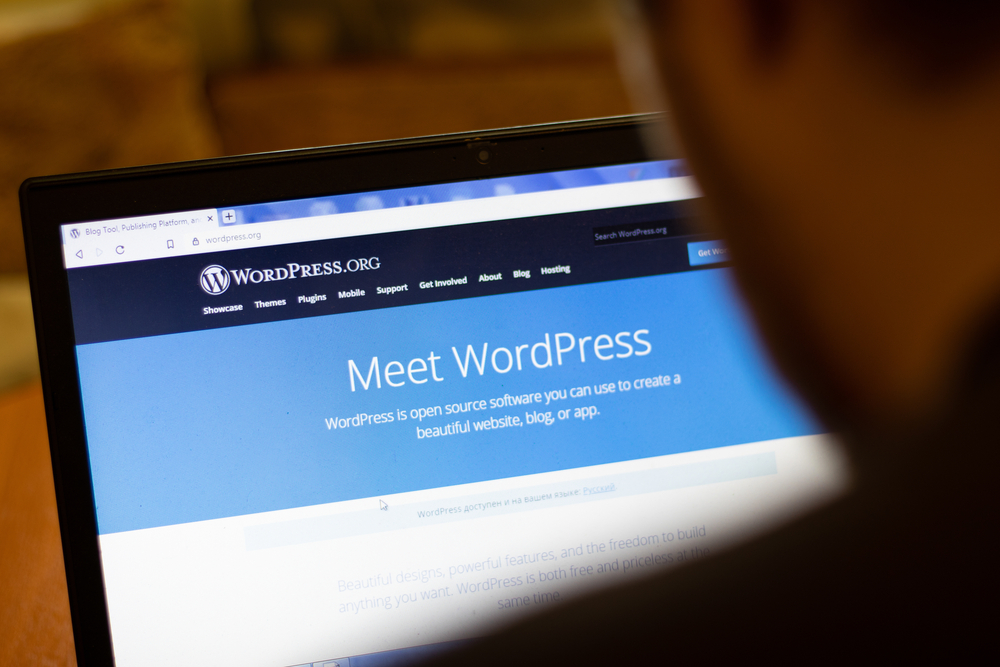  WordPress ดีไหม