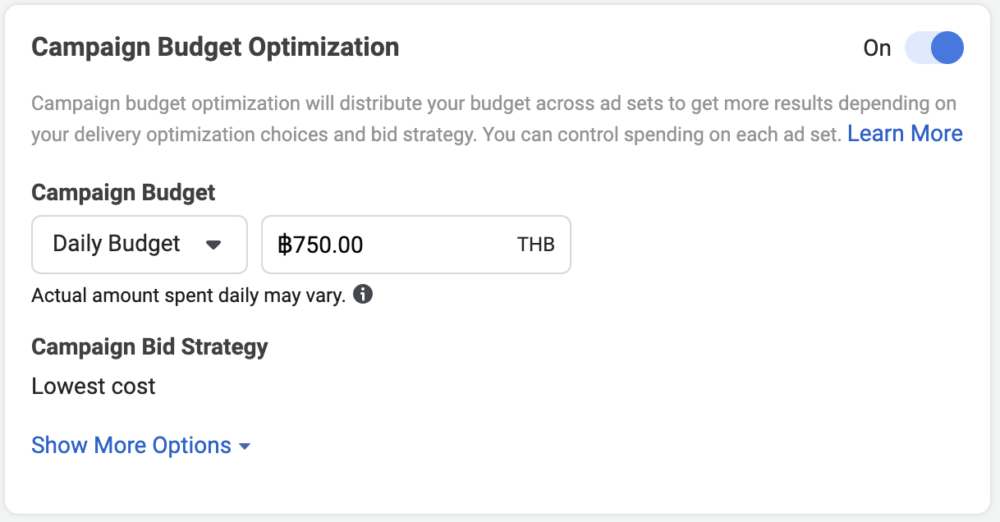 Facebook Ads Campaign Budget Optimization